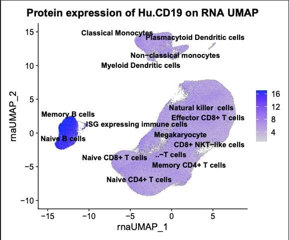 Additional Analysis 1