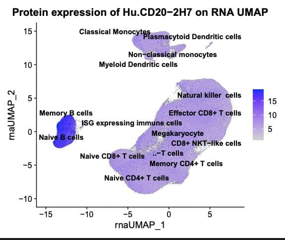 Additional Analysis 2