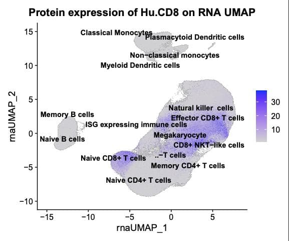 Additional Analysis 3